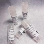 Picture of Evz-ADSC EVs vials