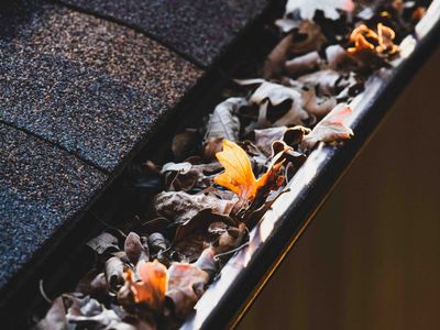 nettoyage de gouttière pleine de feuilles