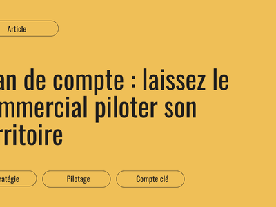 Plan de compte : laissez le commercial piloter son territoire
