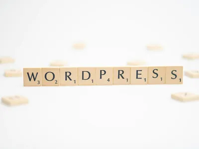 WORDPRESS word written on white background. WORDPRESS text on white