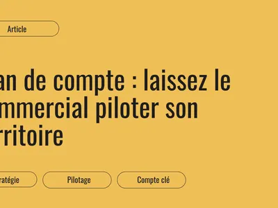 Plan de compte : laissez le commercial piloter son territoire