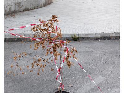 Luxembourg Art Week 2024