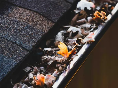 nettoyage de gouttiÃÂ¨re pleine de feuilles