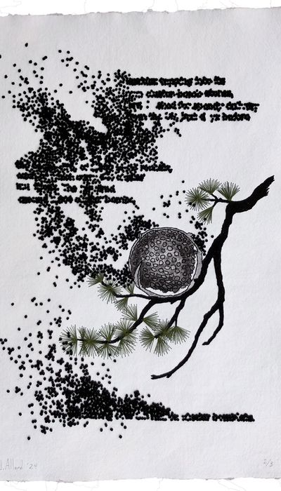 Johanne Allard