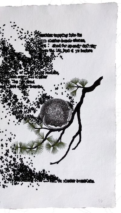 Johanne Allard