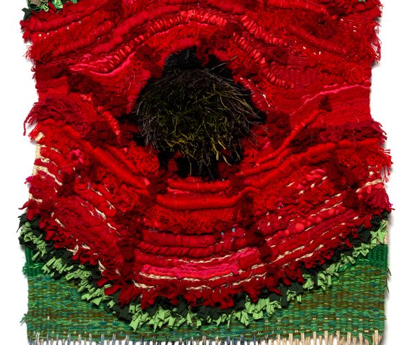 Mostafa Maftah - Anemone