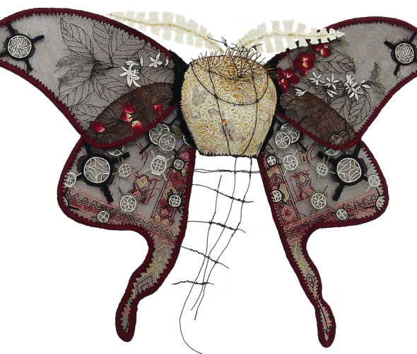 Johanne Allard | Qamariya Moth (Yemen)