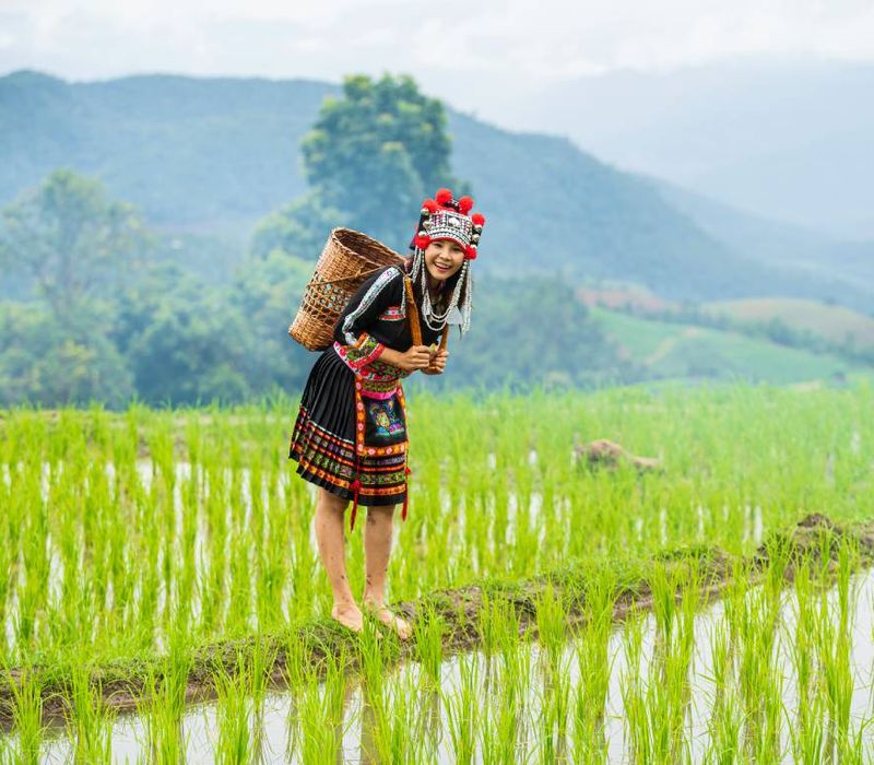 La ThaÃÂ¯lande et ses minoritÃÂ©s ethniques