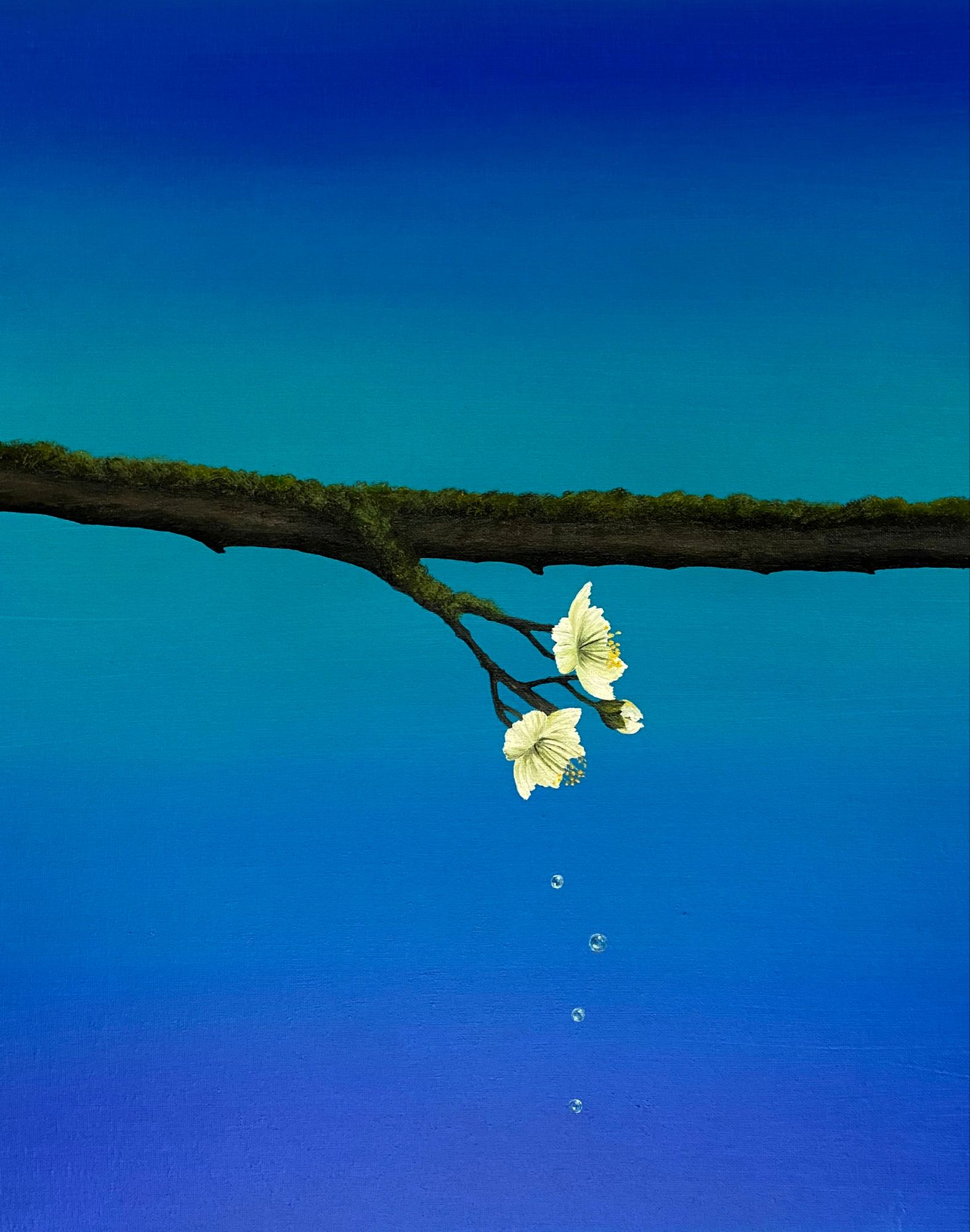 Houda Terjuman - Tears flooded our land 2024 50x60 Oil on canvas