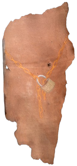 Ieva SaudargaitÃÂ Douaihi | Lock and chain on Eucalyptus