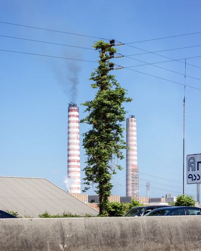 Ieva SaudargaitÃÂ Douaihi | Trumpet vine and the Zouk Power Plant