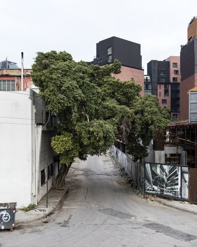 Ieva SaudargaitÃÂ Douaihi | Curtain Fig at old Beirut Art Center