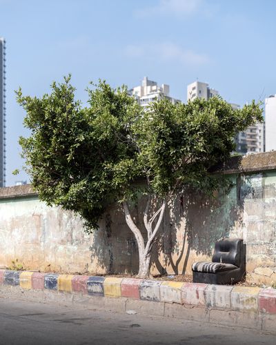 Ieva SaudargaitÃÂ Douaihi | Ficus near Beirut River