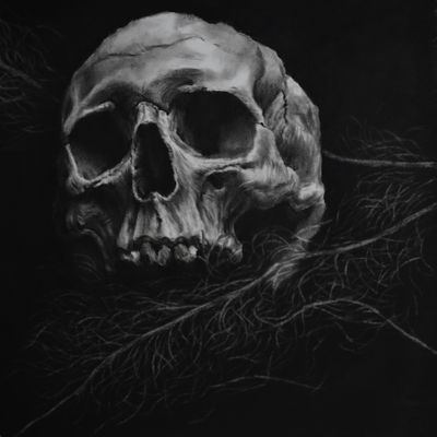 Salah Missi | Untitled