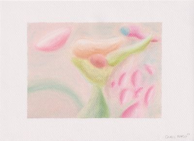 Carel Marso | Up-close 1