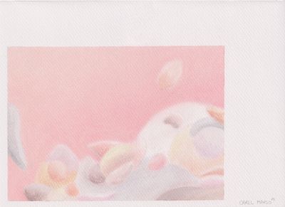 Carel Marso | Up-close 4