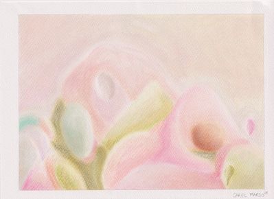 Carel Marso | Up-close 5