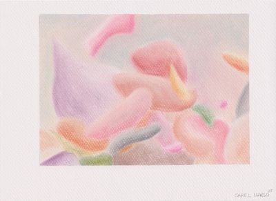 Carel Marso | Up-close 7