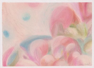 Carel Marso | Up-close 8