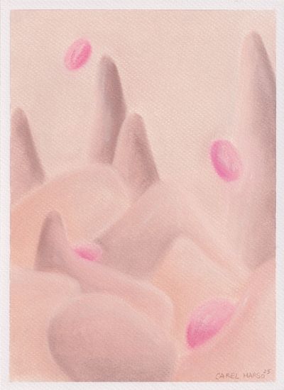 Carel Marso | Sequence 14