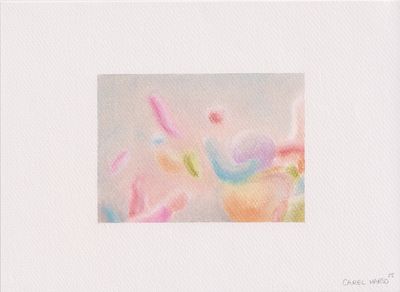 Carel Marso | Up-close 16