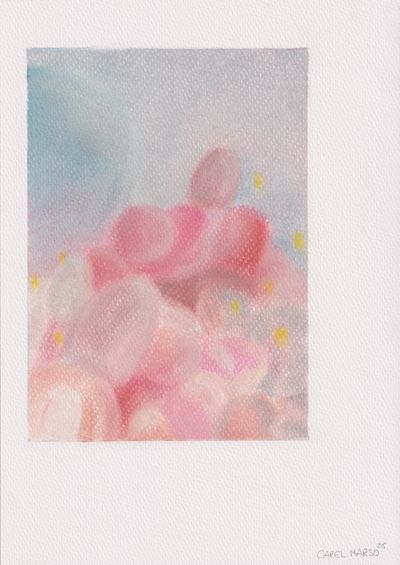 Carel Marso | Up-close 33