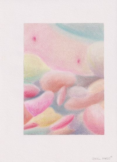 Carel Marso | Up-close 35