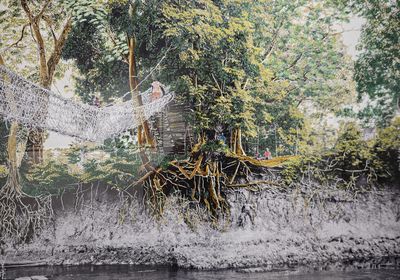 Claire Marboeuf – L’Arbre monde