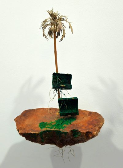 Houda Terjuman – The road less taken