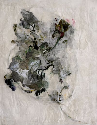 Flo Arnold – Les 4 saisons