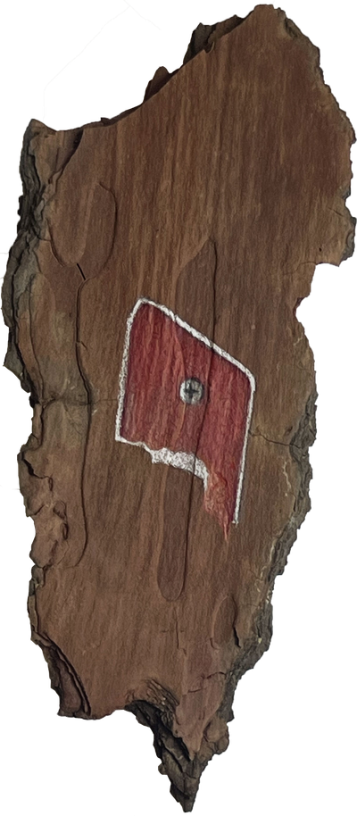 Ieva SaudargaitÃÂ Douaihi | Reflector on Pine