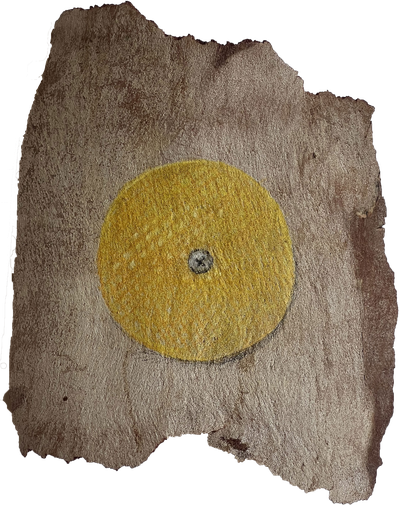 Ieva SaudargaitÃÂ Douaihi | Reflector on Eucalyptus