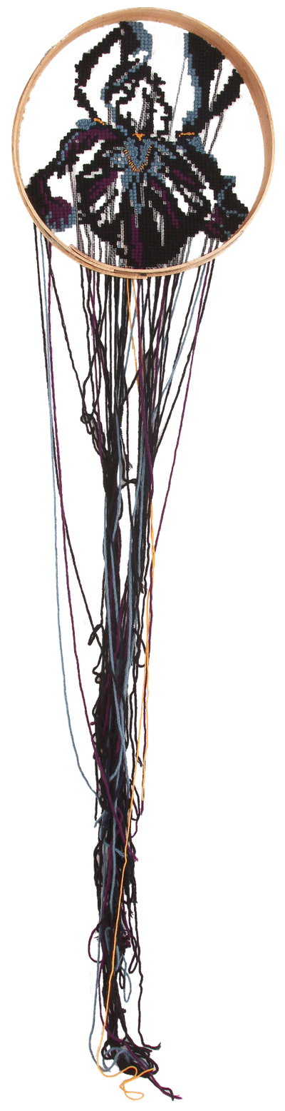 Johanne Allard | Black Iris III