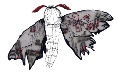 Johanne Allard | Anemone Moth (Palestine) | SOLD