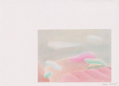 Carel Marso | Up-close 6