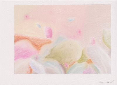 Carel Marso | Up-close 23