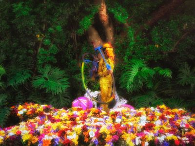 Tsoku Maela – Caguwa VI