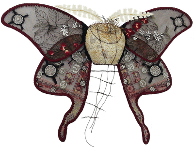 Johanne Allard | Qamariya Moth (Yemen)