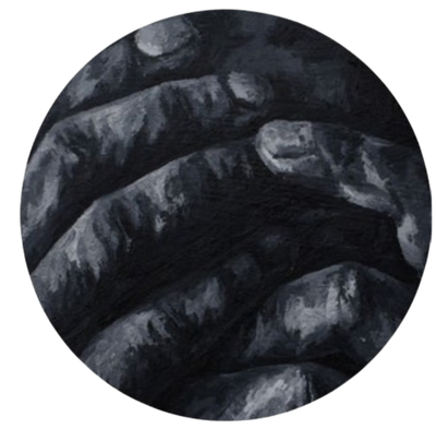 Salah Missi | Untitled 8