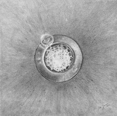 Dalia Baassiri | Strainer