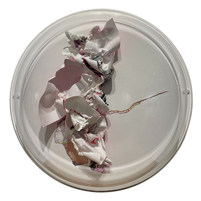 Flo Arnold – Hublot d’ÃÂ©vasion ( nÃÂ°2)