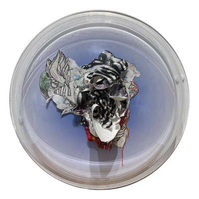 Flo Arnold – Hublot d’ÃÂ©vasion (nÃÂ°3)