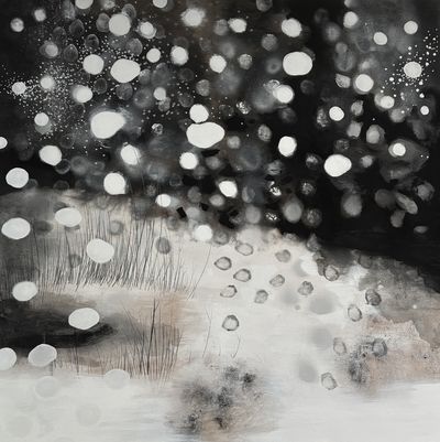 Christophe Miralles – Flocons