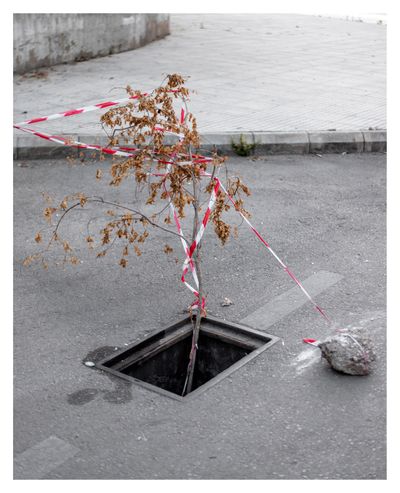 Ieva SaudargaitÃÂ Douaihi | Lady of the Storm Drain