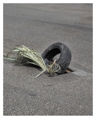 Ieva SaudargaitÃÂ Douaihi | Untitled