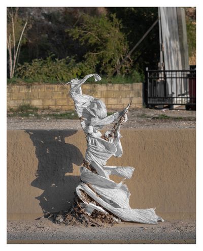 Ieva SaudargaitÃÂ Douaihi | Lady of the Highway