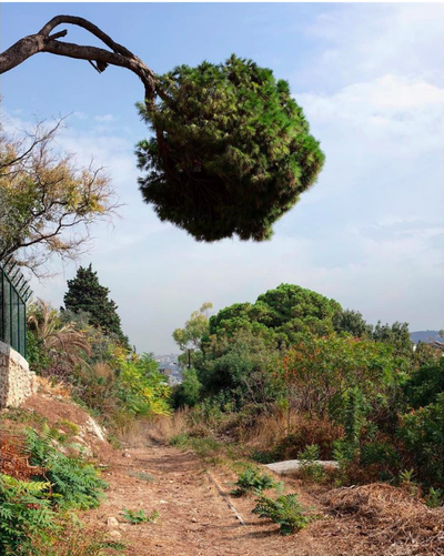 Ieva SaudargaitÃÂ Douaihi | On the Beirut – Damascus railway