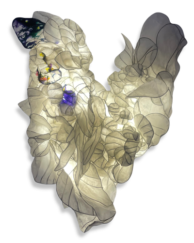 Flo Arnold – Eveil de la nature