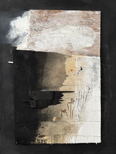 Christophe Miralles – Blanche neige
