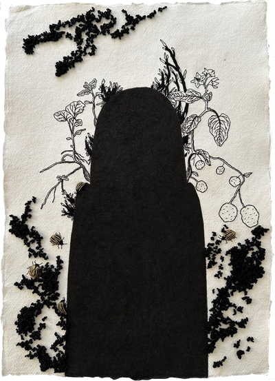 Johanne Allard | Bamiyan (Afghanistan)